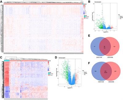 Integrated transcriptome and network analysis identifies EZH2/CCNB1/PPARG as prognostic factors in breast cancer